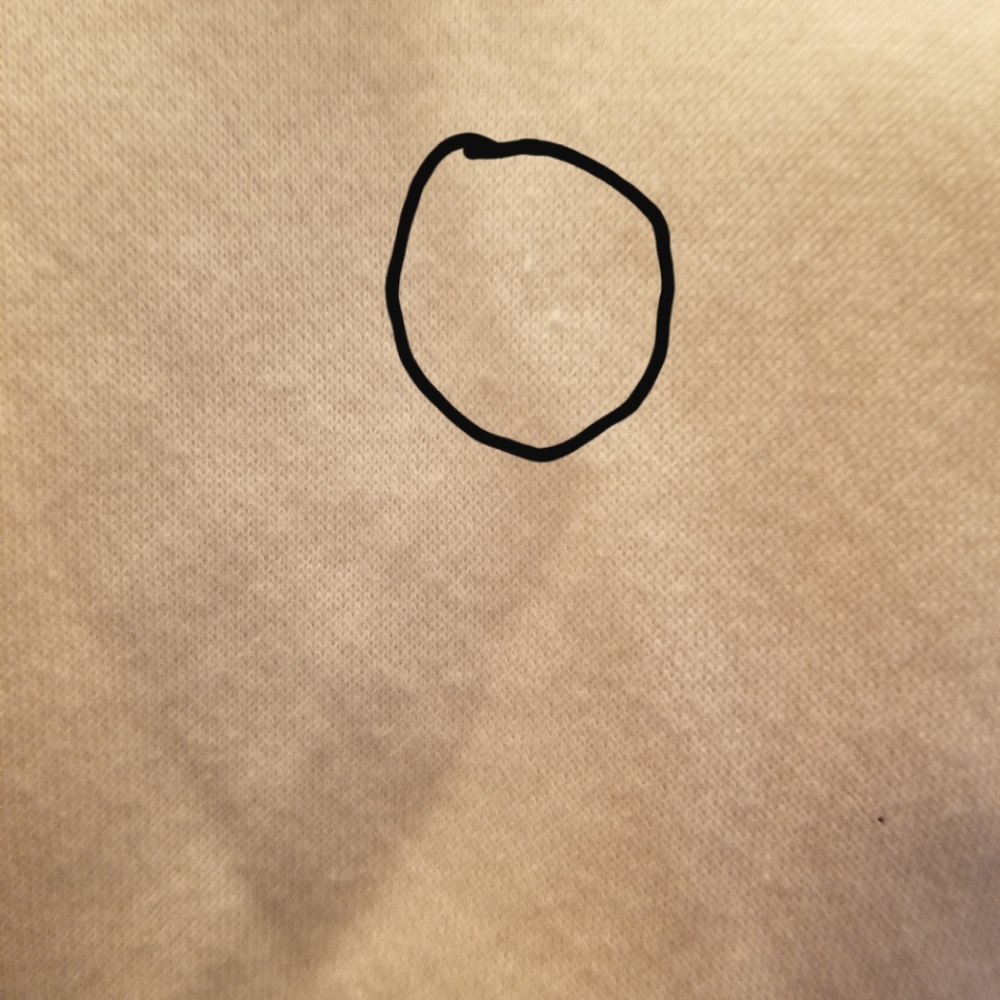 Style & Co Women's Sweatshirt Size L - Picture 13 of 13